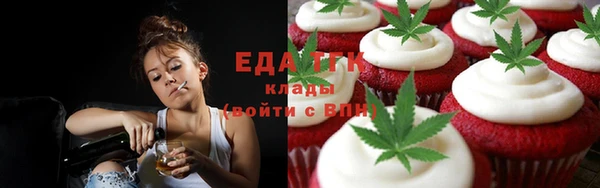 крисы Медногорск