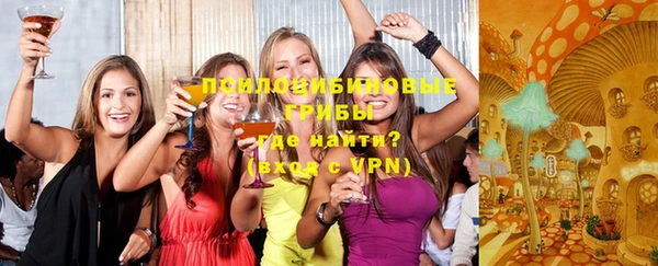 крисы Медногорск