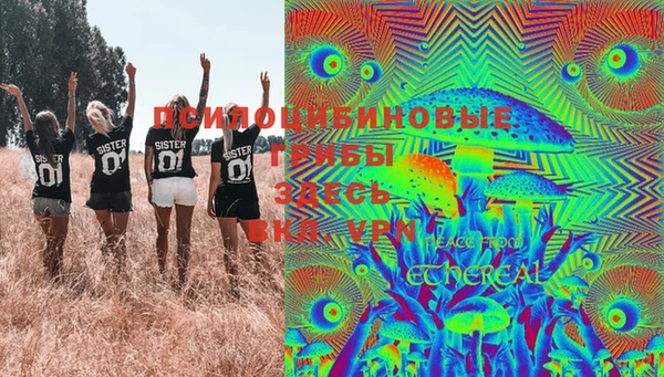 крисы Медногорск