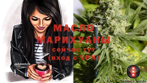 крисы Медногорск