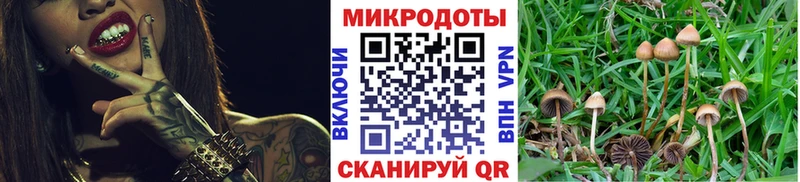 Псилоцибиновые грибы мухоморы  Купить  Нея 